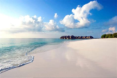 马尔代夫,海滩,伴侣,度假胜地,热带气候,旅游目的地,躺椅,旅途,阔边遮阳帽,晒黑摄影素材,汇图网www.huitu.com