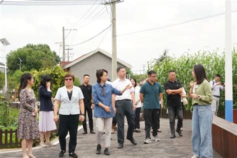 【协会直通车】中国计生协赴嘉定区调研家庭健康促进工作_澎湃号·政务_澎湃新闻-The Paper