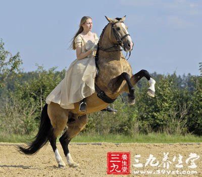 如何挑选骑乘马,最适合骑乘的大型马,马的种类及图片和介绍_大山谷图库