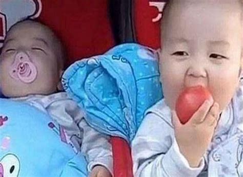 双胞胎哥哥趁弟弟熟睡偷吃西红柿，看到这表情，宝妈乐坏了__凤凰网
