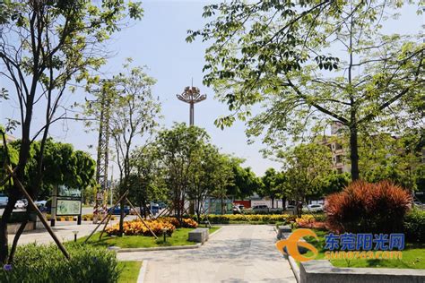 东莞市东坑镇：打造高品质荔枝公园，激活精致魅力小镇新内涵