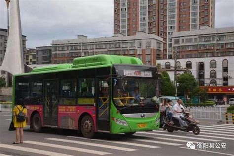 衡阳县城至西渡站公交车开通！最全路线汇总看这里_手机新浪网