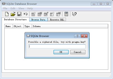 用什么打开db文件_怎么打开db文件_98软件园