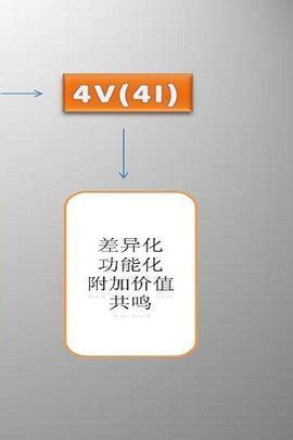 4V营销理论_word文档免费下载_文档大全