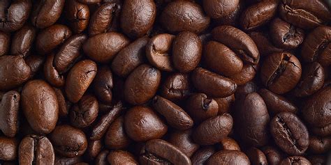 罗布斯塔阿拉比卡咖啡介绍，罗布斯塔阿拉比卡咖啡豆怎么吃 中国咖啡网