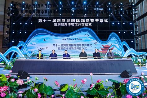 活动公司开业庆典舞狮 开业节目暖场演绎策划气球布置旭东传媒