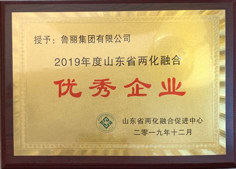鲁丽集团被评为山东省2019年度两化融合优秀企业 - 鲁丽新闻 - 鲁丽集团始于1985—专注建材生产34年！