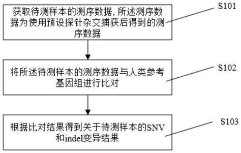 基因检测结果图片大全,解读,读懂(第12页)_大山谷图库