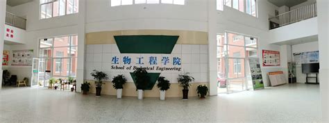 宁波市第一医院方桥院区正式启用，为宁波生命科学城宜居梦加码！_医疗_宁南_中心