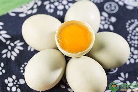 鸡蛋价格早报：今日全国各地区鸡蛋价格行情分析 - 惠农网