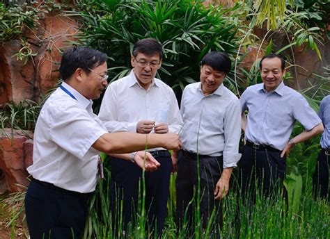 昆明植物所2018年“植物王国暨药学”大学生夏令营顺利举行----中国科学院昆明植物研究所