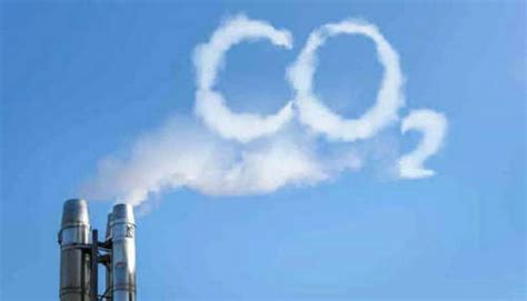 碳中和是什么意思 碳中和概念解析_法库传媒网