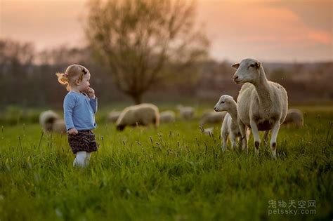 40张孩子与动物在一起的照片 来自世界各地摄影师的作品 - 第19页