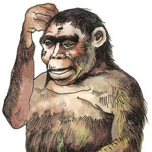 古猿生活场景人类进化猿人进化,其它,文化艺术,摄影素材,汇图网www.huitu.com