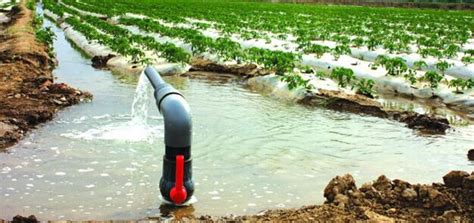 新型智能灌溉系统，比“以色列”滴灌更节水！ - 知乎