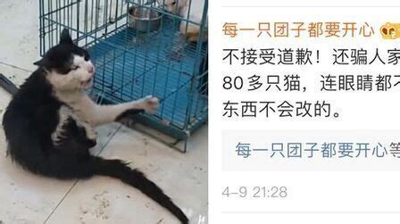 《当家主母》剧组虐猫事件造谣者，被判刑七个月_凤凰网视频_凤凰网