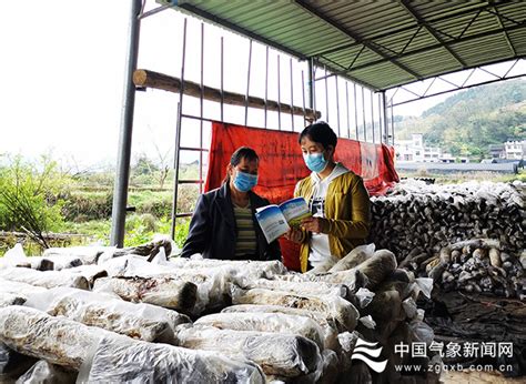 贵州丹寨：稻谷飘香收获忙-人民图片网