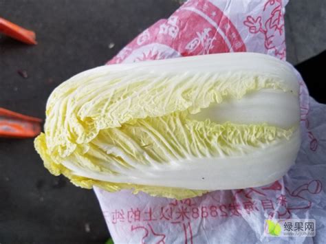 广州江南蔬菜批发市场代销各地黄心菜（娃娃菜） - 绿果网
