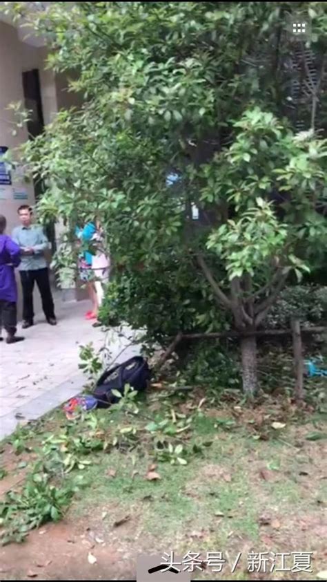 遗憾！江夏一小学生今晨坠楼身亡_武汉_新闻中心_长江网_cjn.cn