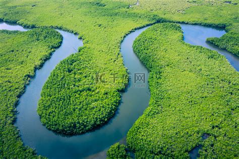 亚马逊盆地，巴西，南美洲高清摄影大图-千库网