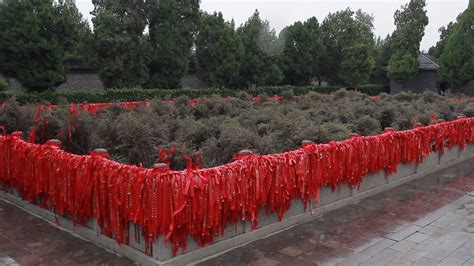 灵草植物园林1000&#215;666666&#215;30图片