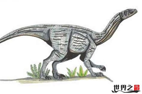 世界十大最小的恐龙，体长不足20厘米！