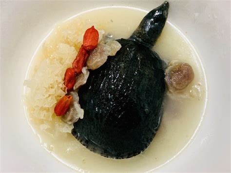 冰糖甲鱼的做法_【图解】冰糖甲鱼怎么做好吃_小蕙的厨房_家常做法大全_豆果美食