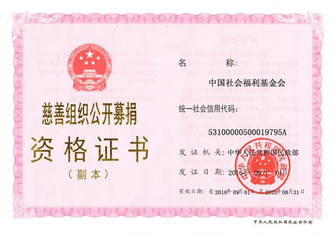 证书资质-中国社会福利基金会