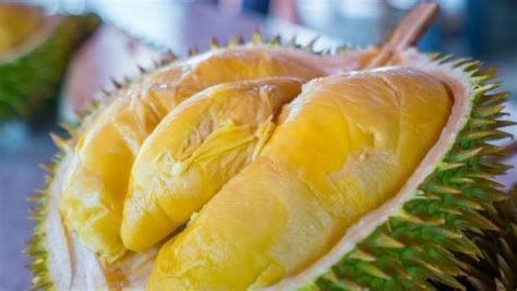 榴莲是世界上最美味但又最有营养的水果之一