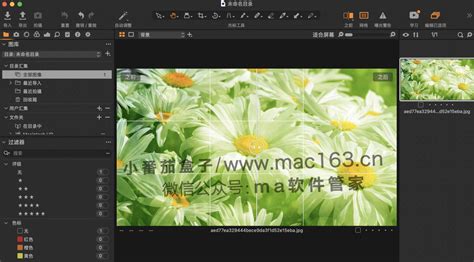 Capture One 20 for Mac(raw图像处理软件) v13 无需破解-MAC/苹果 - Lightroom摄影PhotoShop后期