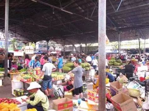 阳泉将新开一个蔬菜批发市场，9月开始试营业_农贸市场