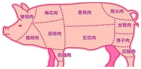 猪肉价格五周涨超30%，猪肉价格为什么会上涨？后期猪肉价格还会怎么走？- 今日头条_赢家财富网