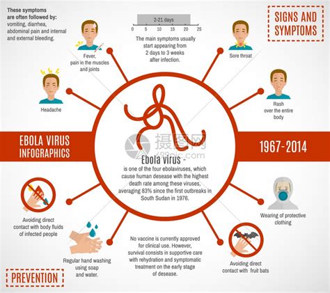 埃博拉病信息图疾病体征症状矢量图插画图片下载-正版图片300935845-摄图网