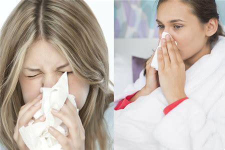 【板蓝根】【图】板蓝根能预防感冒吗 不是所有症状它都适用_伊秀健康|yxlady.com