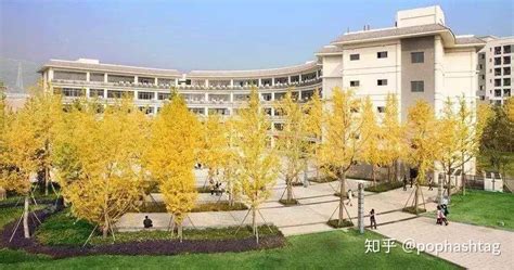 重庆第二师范学院-掌上高考