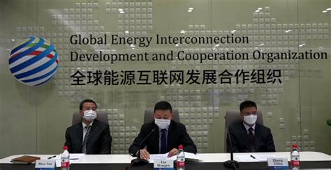 全球能源互联网发展合作组织：中国2060年前碳中和研究报告.pdf | 先导研报
