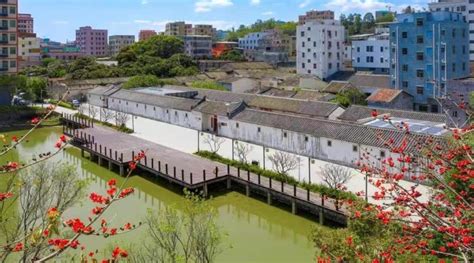 读创--深化改革看龙岗㉓|坪地街道以党建引领“生产、生态、生活”融合发展