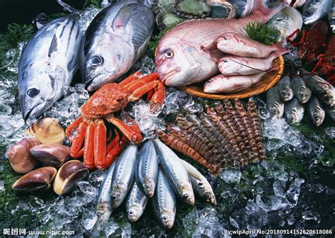 鱼虾蟹图片