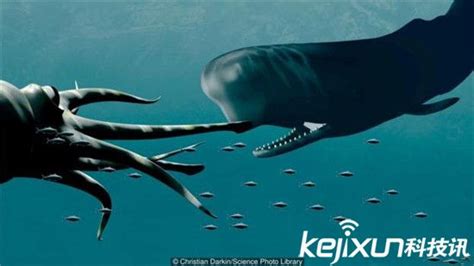 “挪威海怪”深海巨型鱿鱼！竟能长到20米长 - 海洋财富网