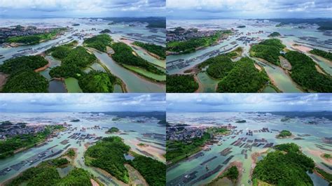 平陆运河将致力打造高水平保护生态运河_中金在线财经号