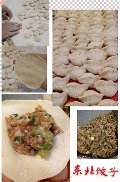 手工家庭式东北饺子 (1盒–20粒）Handmade Dong Bei Dumplings (1 box–20 pcs) • – 美心批发与零售