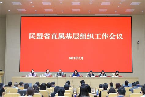 民盟许昌市委员会举办2023年度参政议政专题培训会