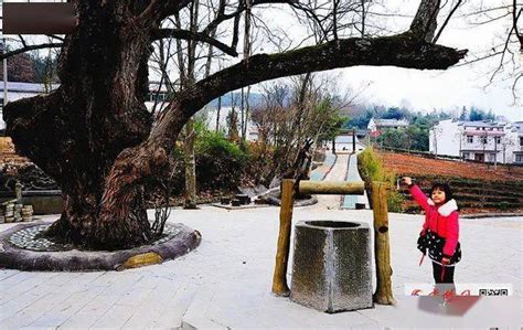 宝丰：打造休闲旅游垂钓基地 助力乡村振兴 - 河南省文化和旅游厅