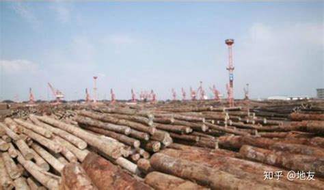 建设全国最大、最环保、最节能木材交易中心-满洲里联众木业有限公司-中国木业信息网会员新闻报道
