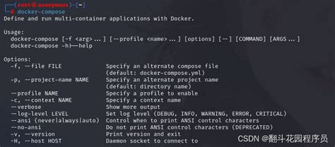 kali2023安装docker+ARL灯塔一遍配置优化_kali docker-CSDN博客