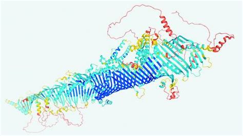 蛋白质别构调控模式预测-北京大学定量生物学中心