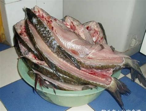 鱼腌制5天可以吃吗,腌制鱼放了3天有臭味,吃鱼(第4页)_大山谷图库