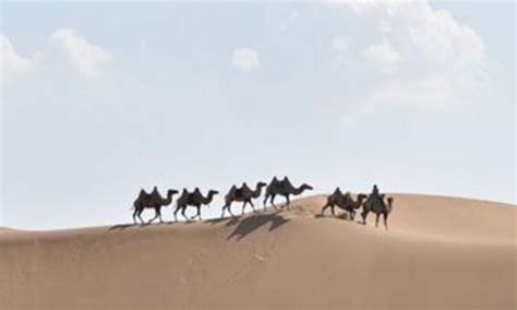 内蒙古最值得去的16个旅游景点排名