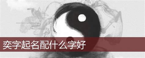 中国第一网红，张大奕名字设计欣赏_字体家