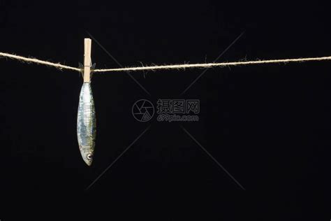 沙丁鱼是一种在鱼贩中很容易找到的鱼高清图片下载-正版图片506579546-摄图网